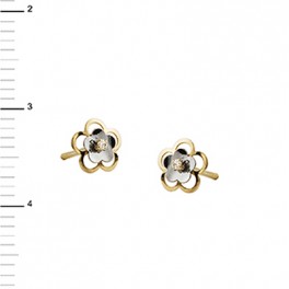 Pendientes oro bicolor