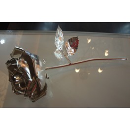 ROSA DE PLATA